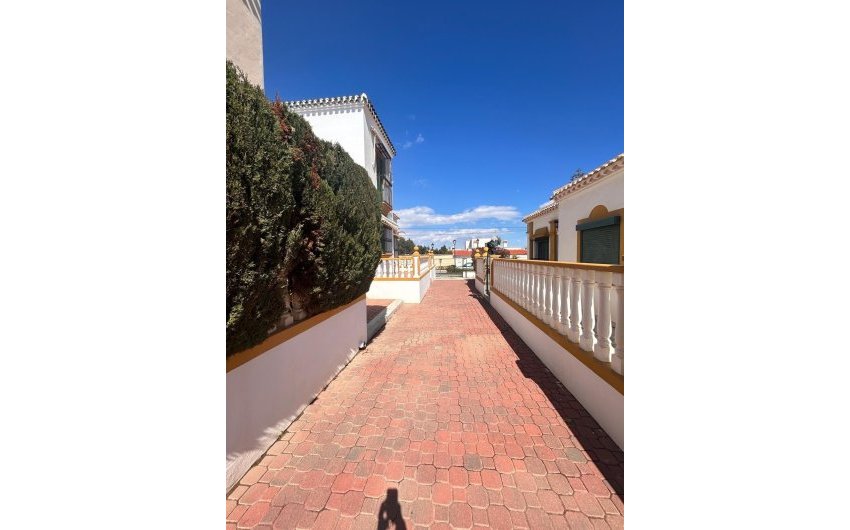 Reventa - Bungalow -
Torrevieja - Torre La Mata