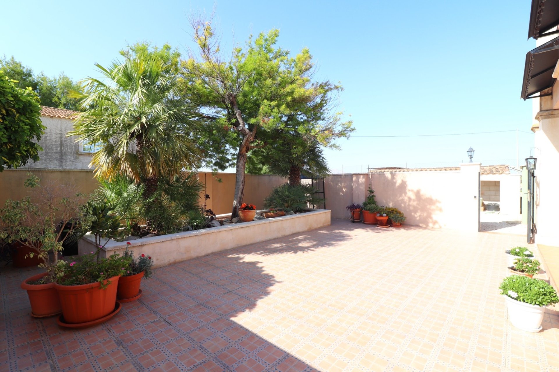 Reventa - Country House -
Albatera - Albatera - Country