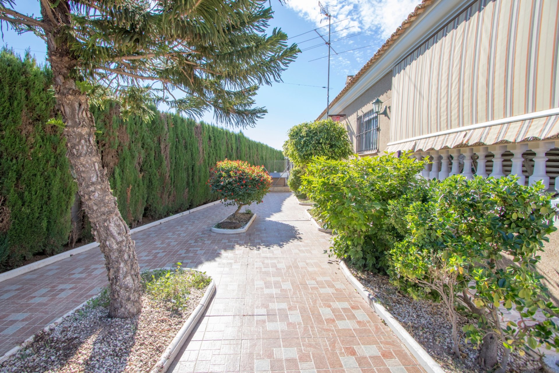 Reventa - Country House -
Albatera