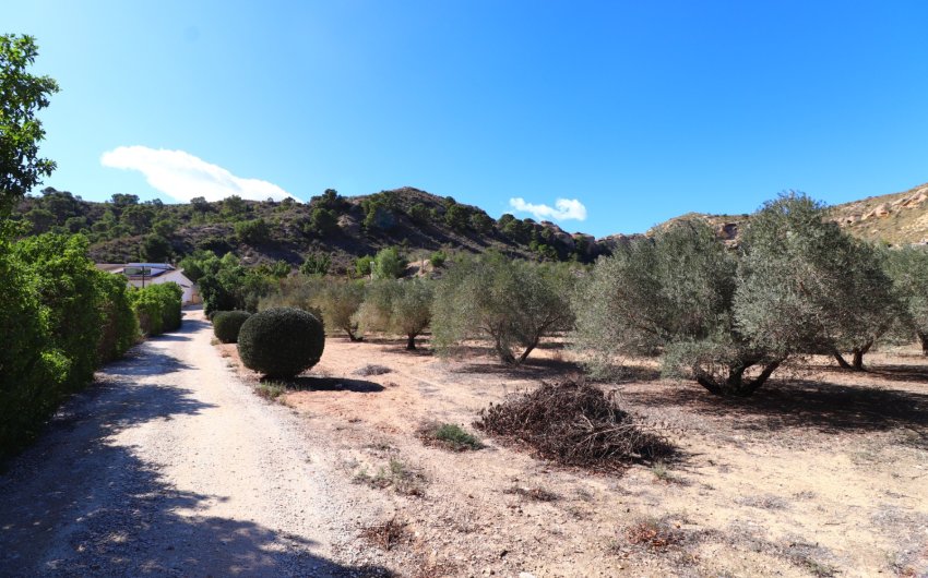 Reventa - Country House -
Aspe - Aspe - Country