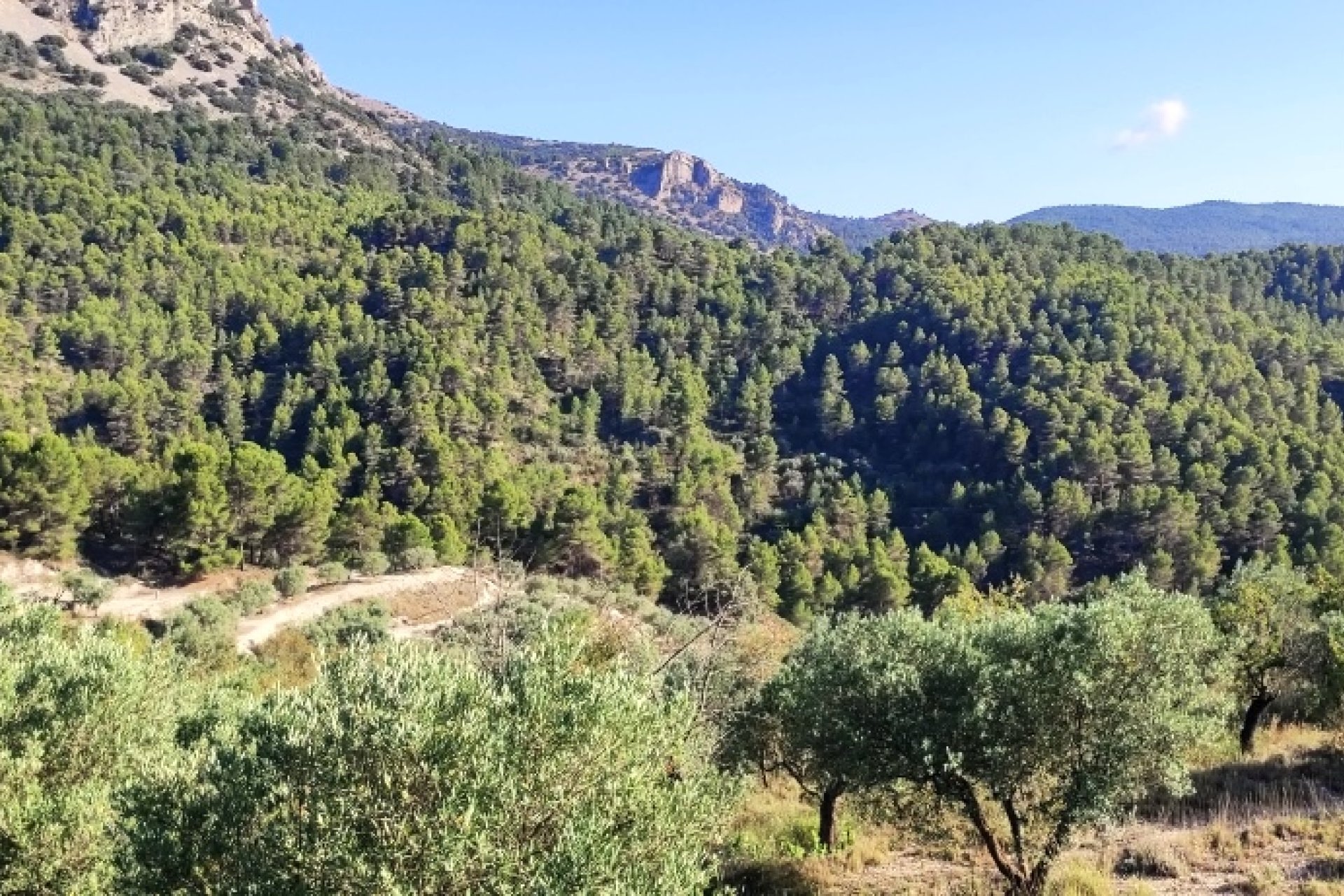 Reventa - Country House -
Benasau