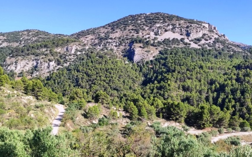 Reventa - Country House -
Benasau