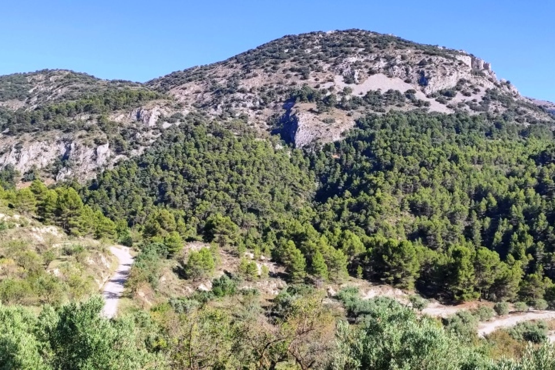 Reventa - Country House -
Benasau