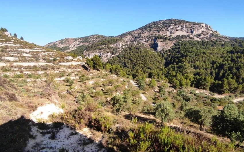 Reventa - Country House -
Benasau