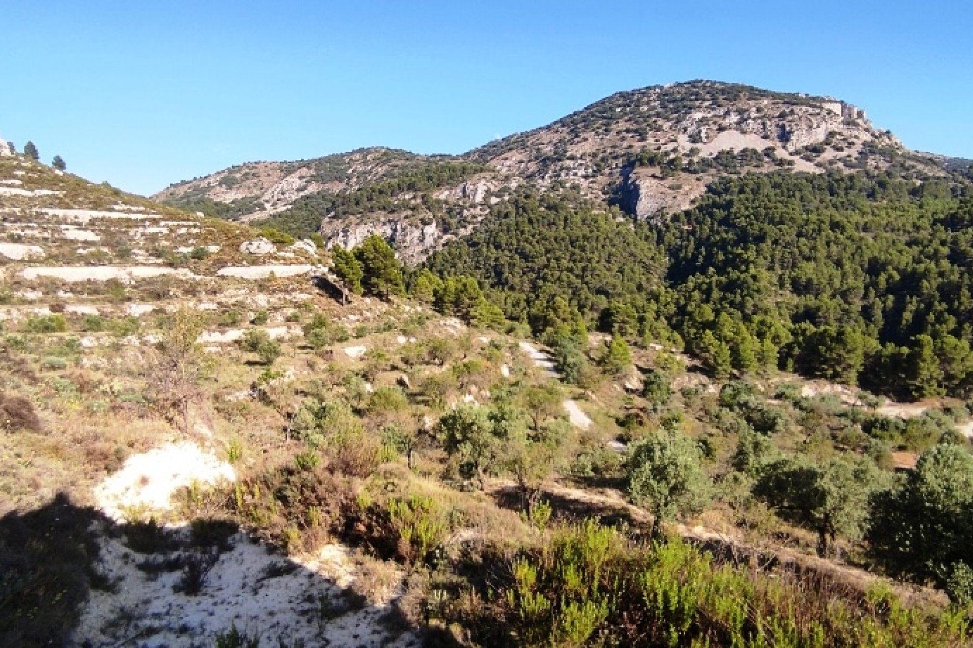 Reventa - Country House -
Benasau