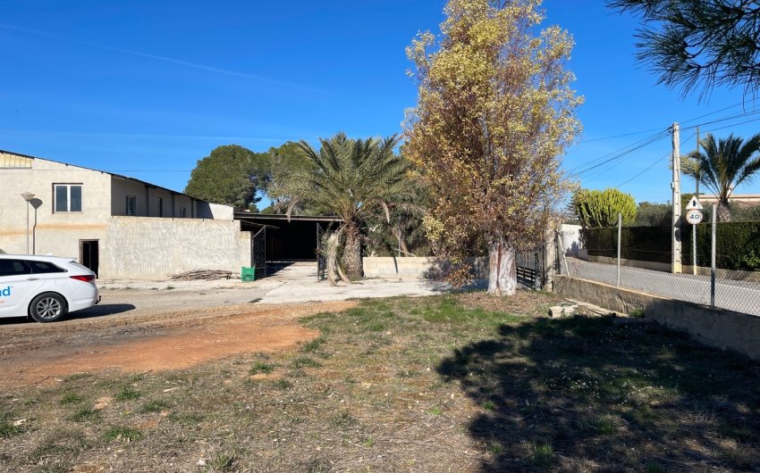 Reventa - Country House -
Elche - Costa Blanca