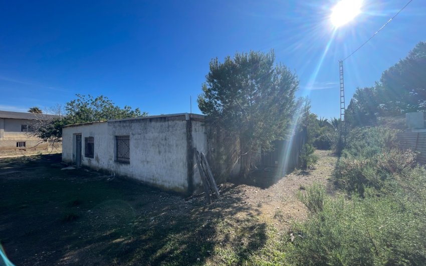 Reventa - Country House -
Elche - Costa Blanca