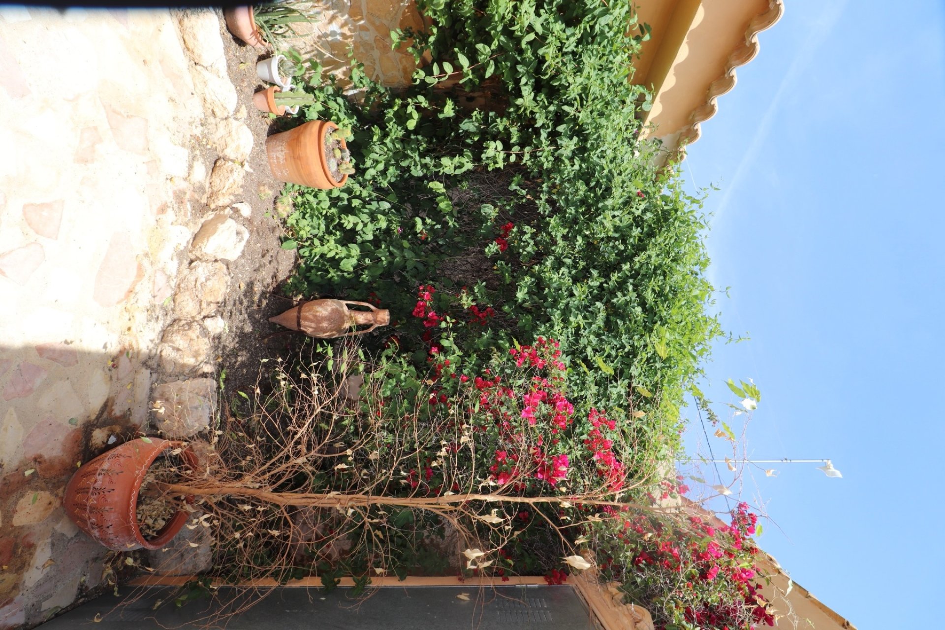 Reventa - Country House -
Hondón de las Nieves - LA CANALOSA
