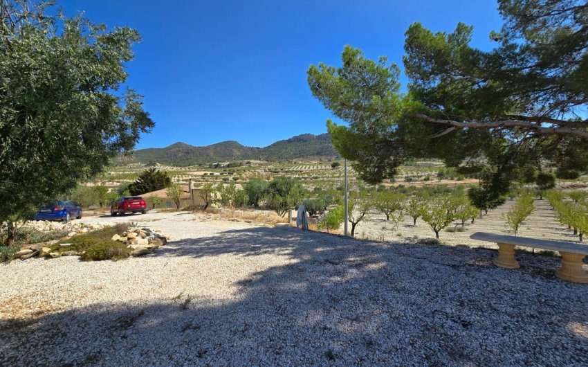 Reventa - Country House -
La Zarza