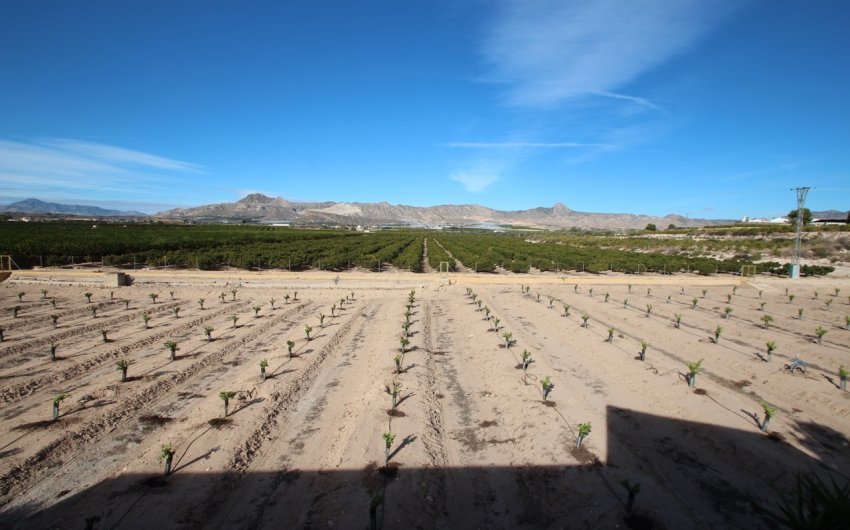 Reventa - Country House -
Murcia - Costa Blanca