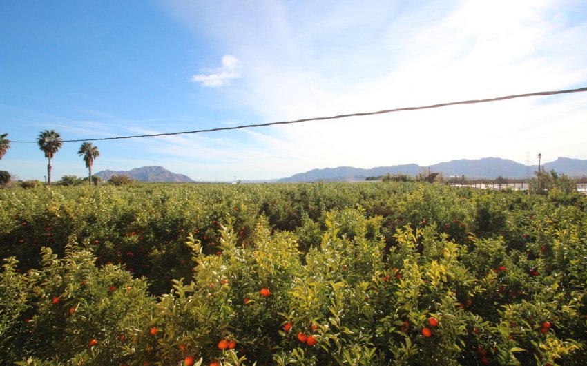 Reventa - Country House -
Murcia - Costa Blanca