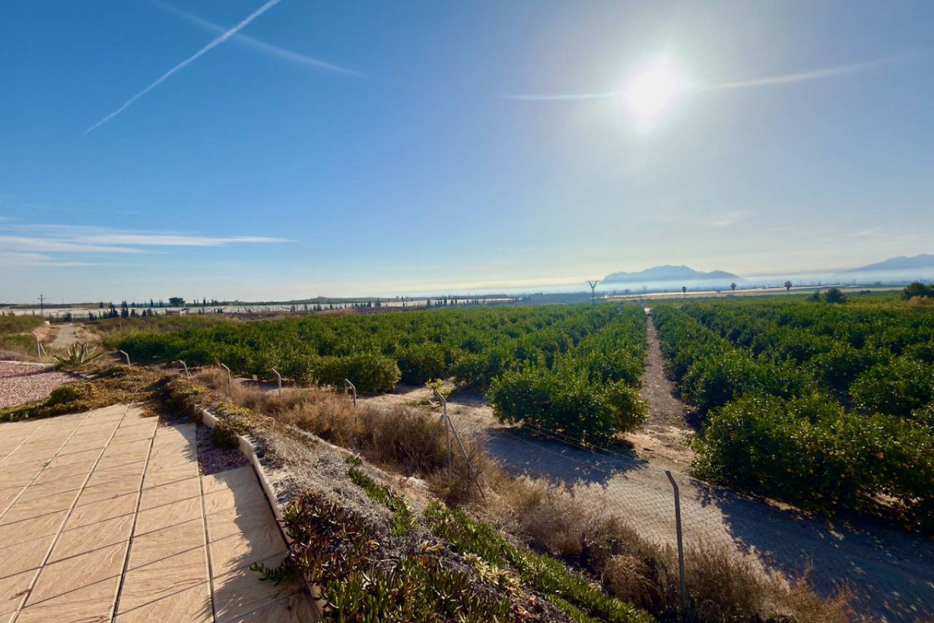 Reventa - Country House -
Orihuela