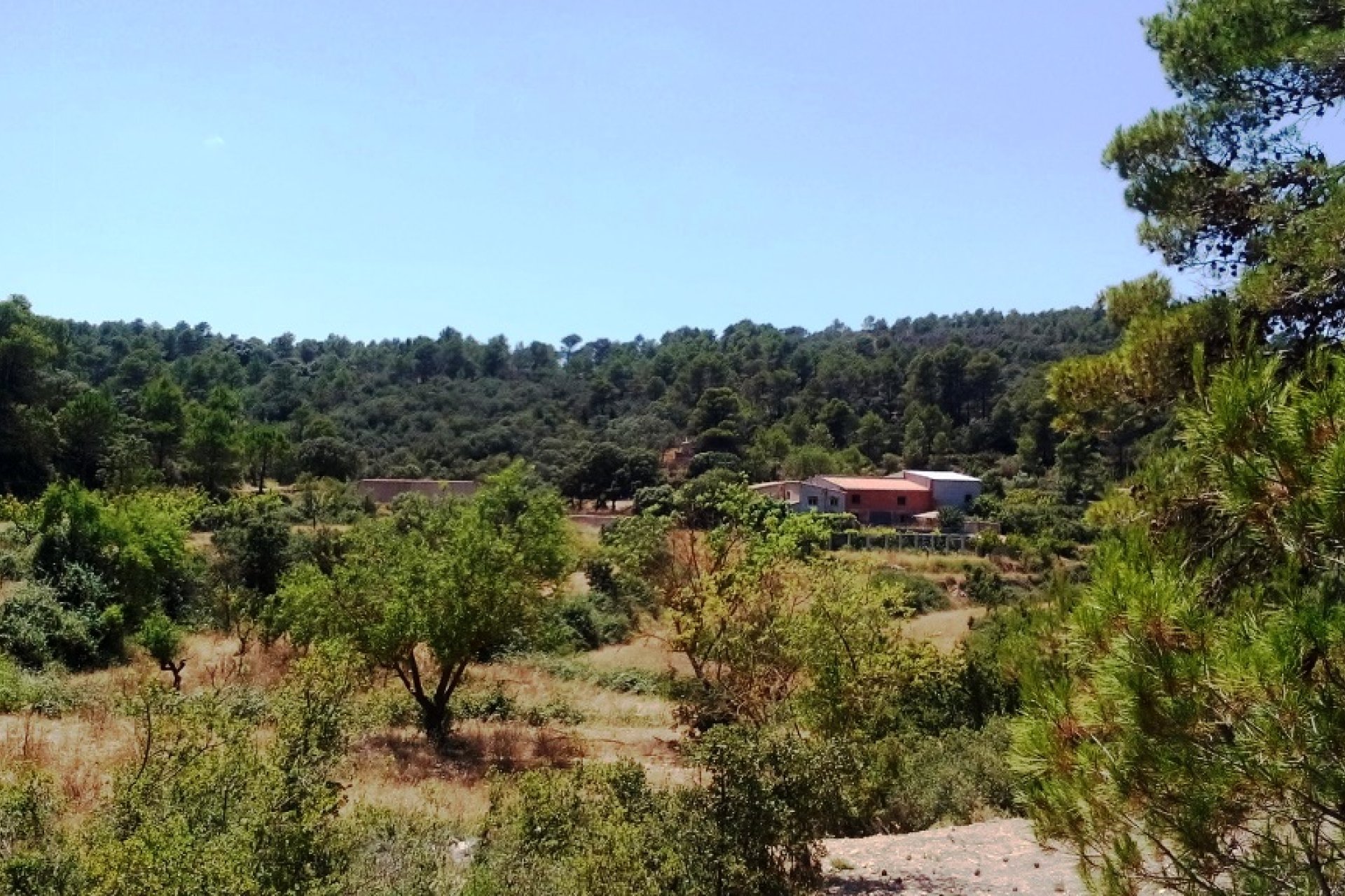 Reventa - Country House -
Penáguila