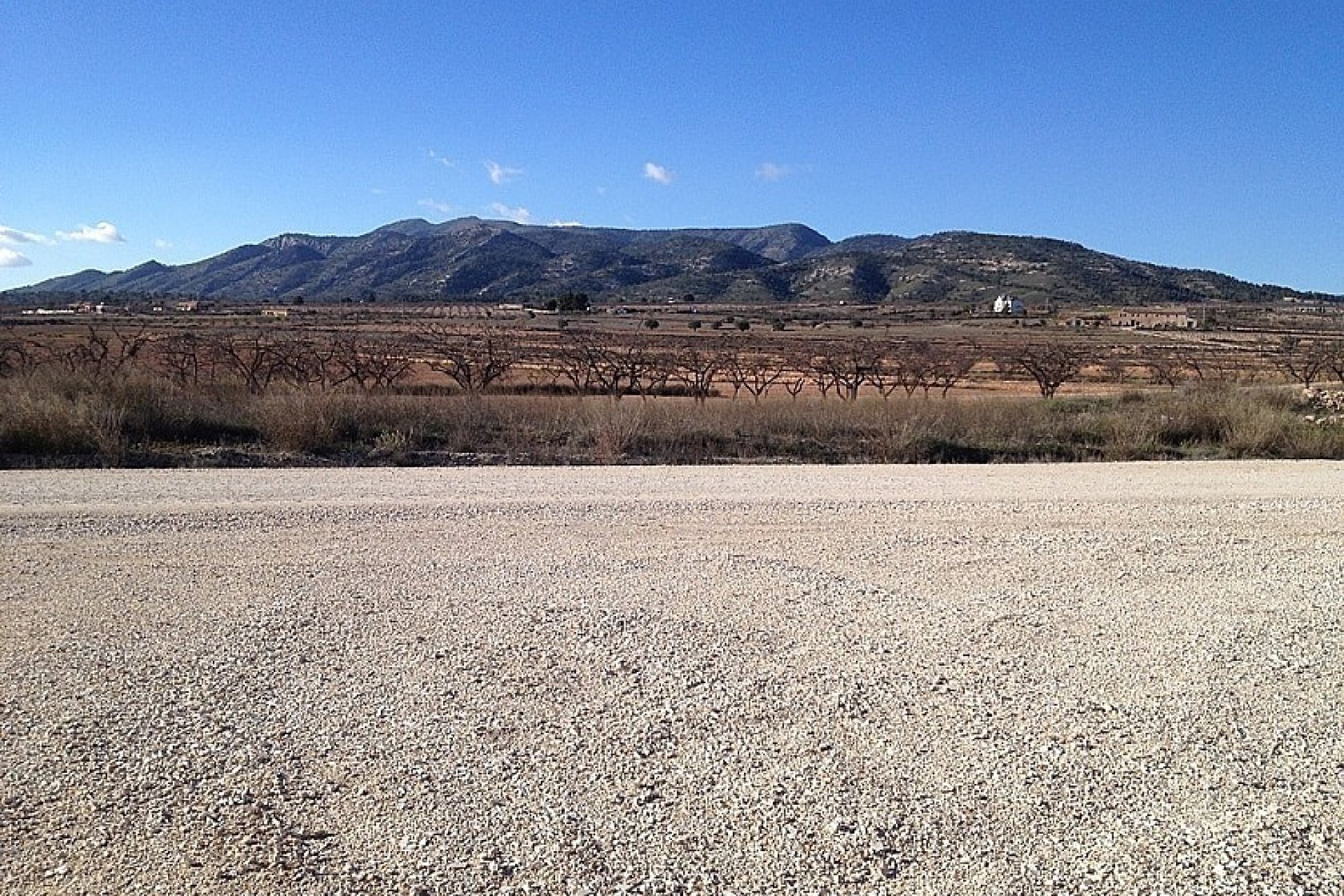 Reventa - Country House -
Pinoso