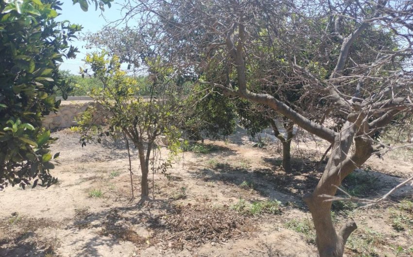 Reventa - Country House -
Rojales - Ciudad Quesada