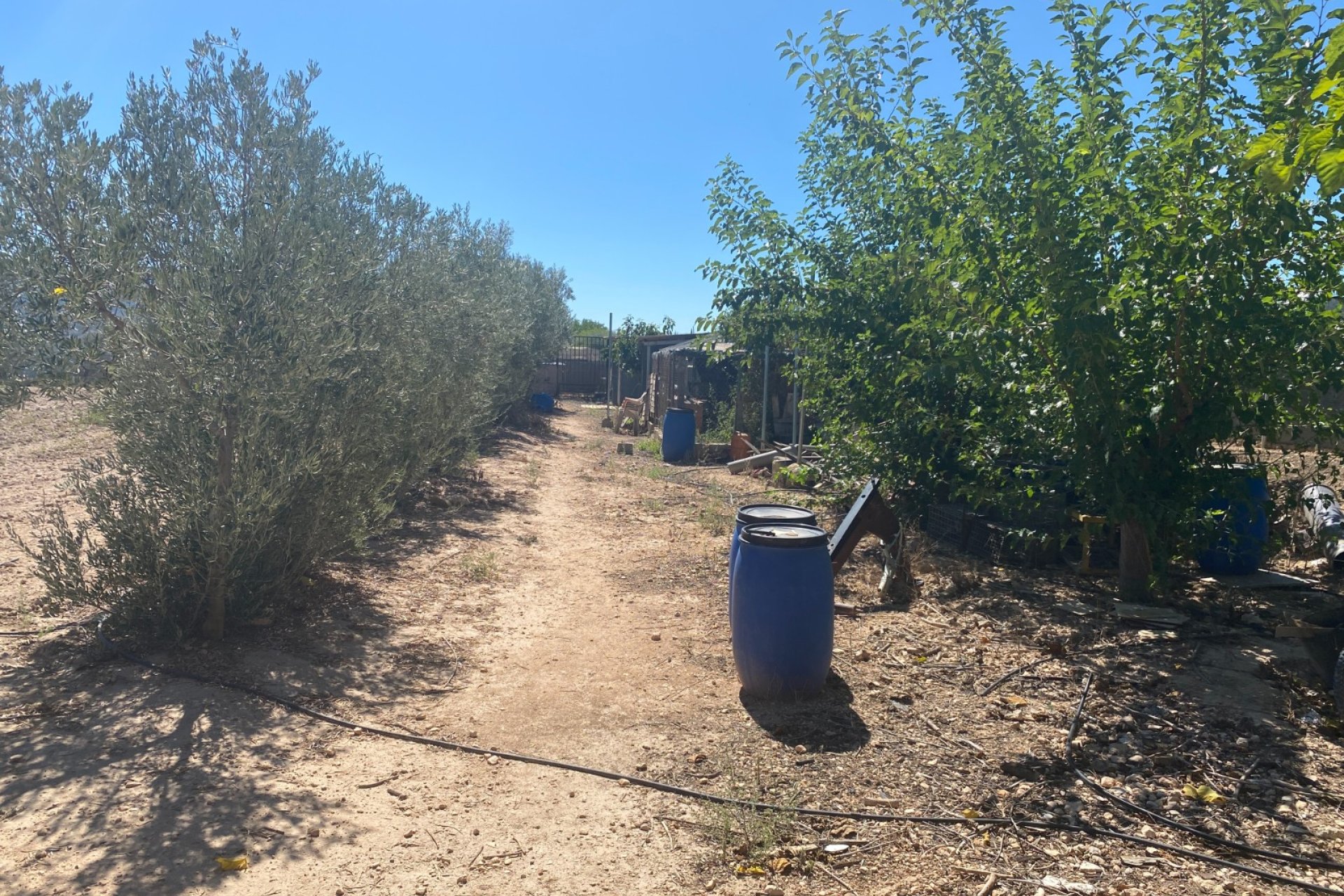 Reventa - Country House -
Salinas