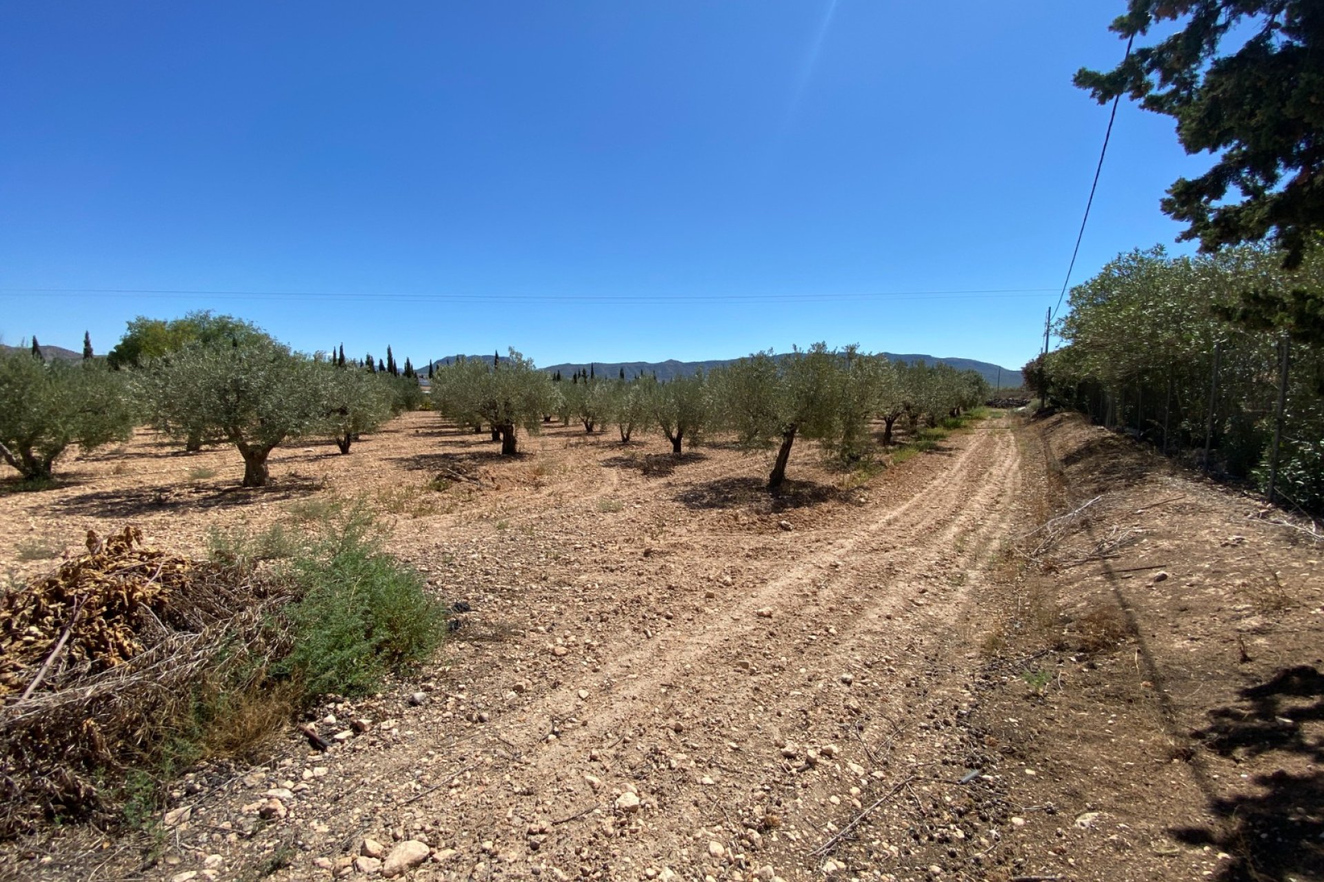 Reventa - Country House -
Salinas