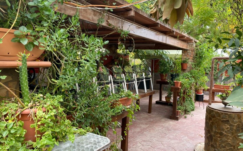 Reventa - Country House -
Sax