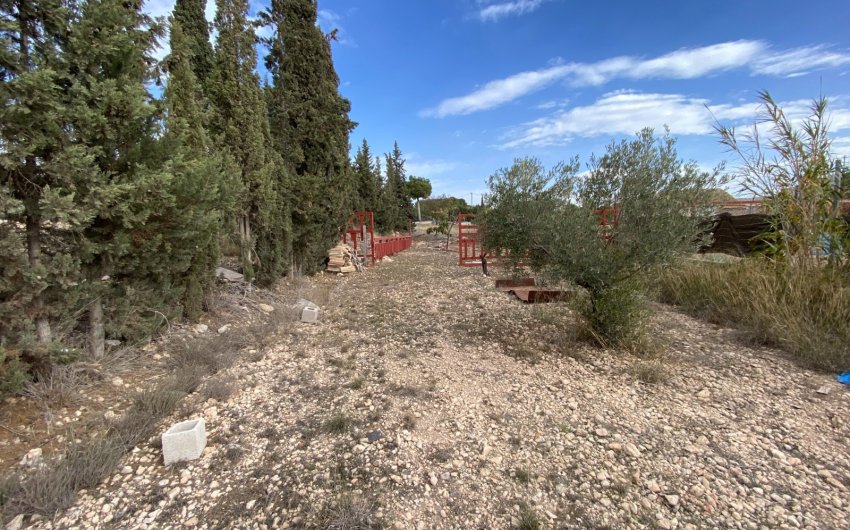 Reventa - Country House -
Sax