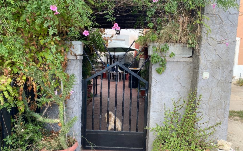 Reventa - Country House -
Sax