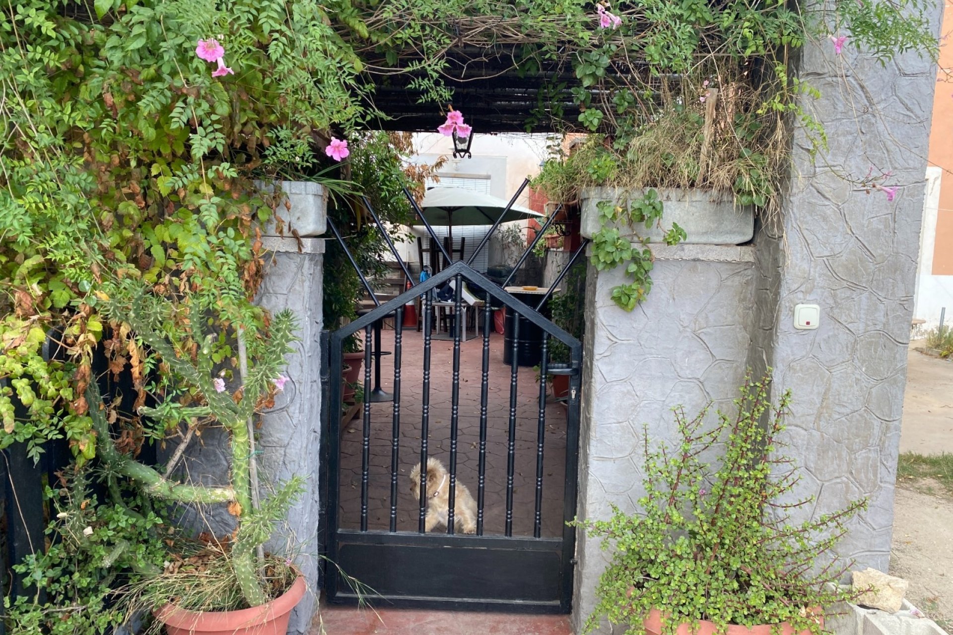 Reventa - Country House -
Sax