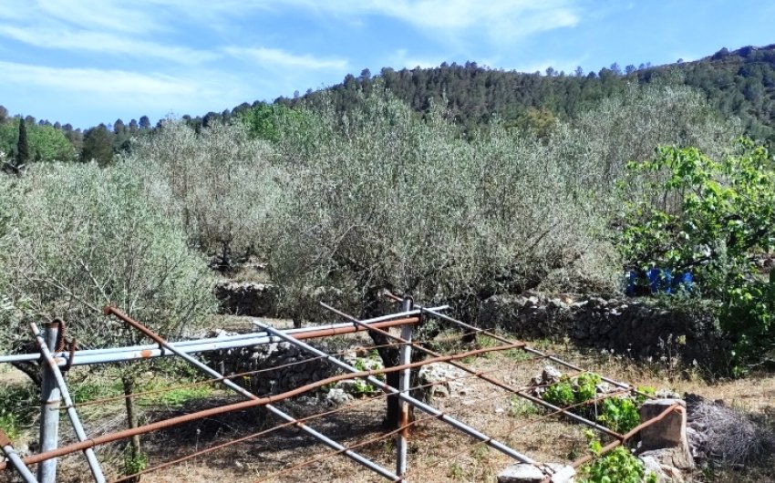 Reventa - Country House -
Villalonga