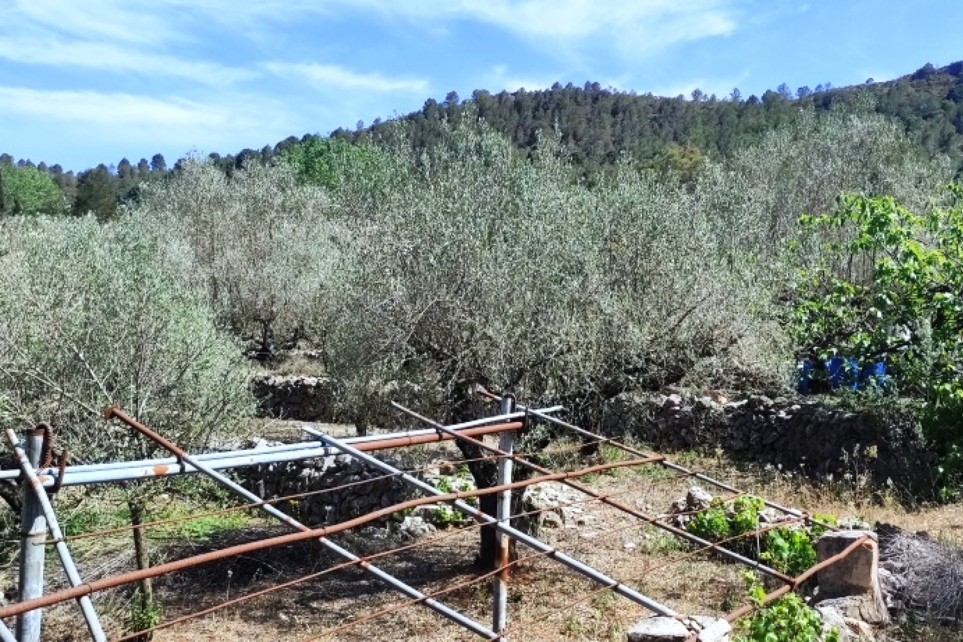 Reventa - Country House -
Villalonga