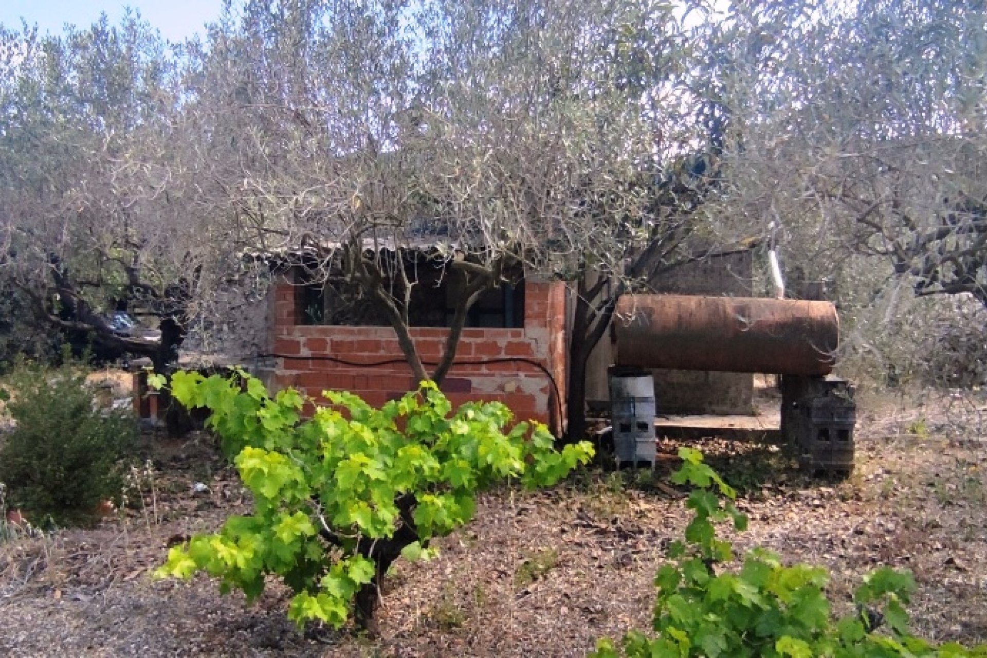 Reventa - Country House -
Villalonga