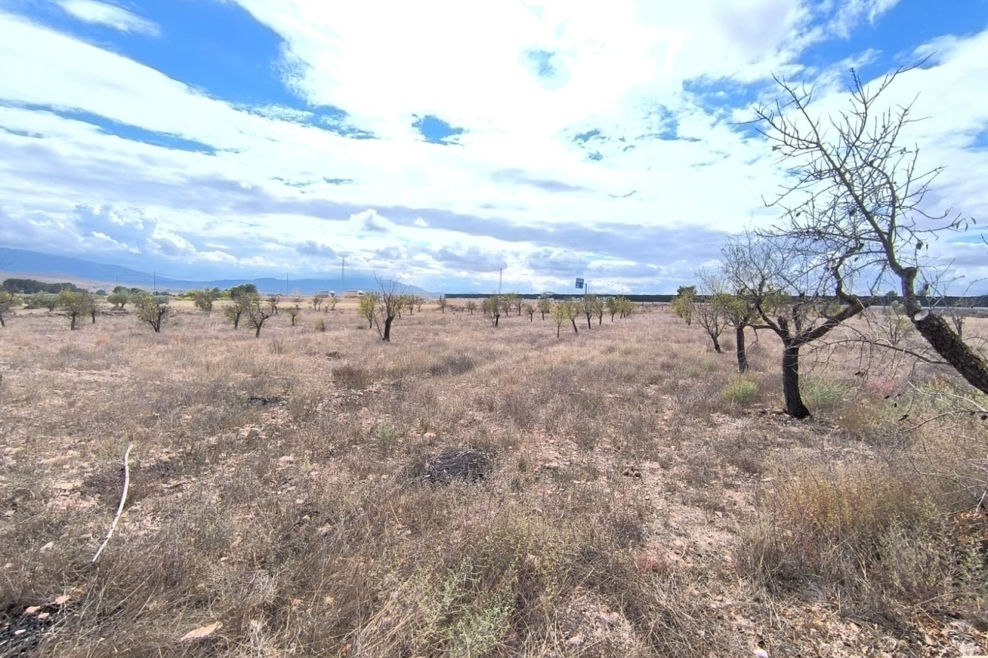 Reventa - Country House -
Yecla - Inland