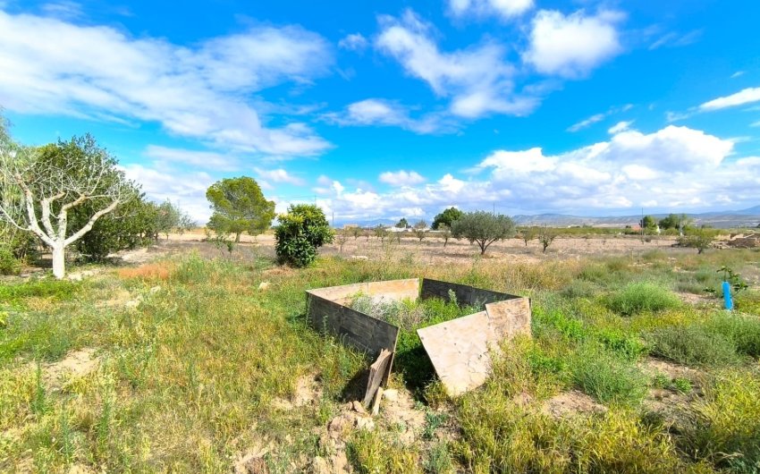 Reventa - Country House -
Yecla - Inland