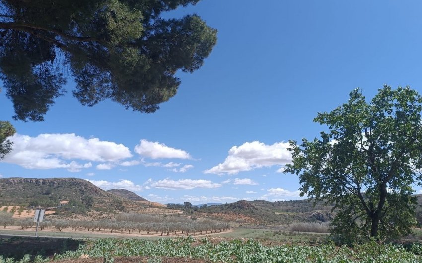 Reventa - Country House -
Yecla - Inland