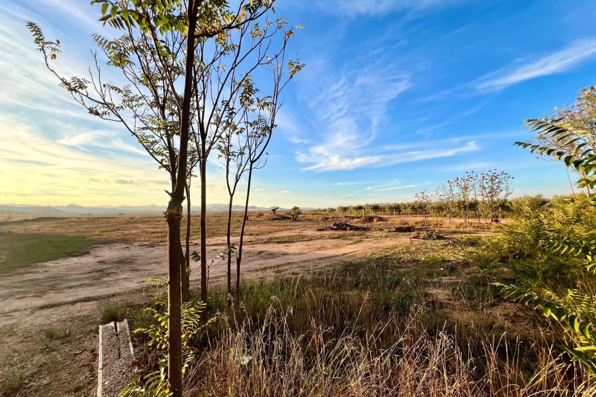 Reventa - Country House -
Yecla - Inland