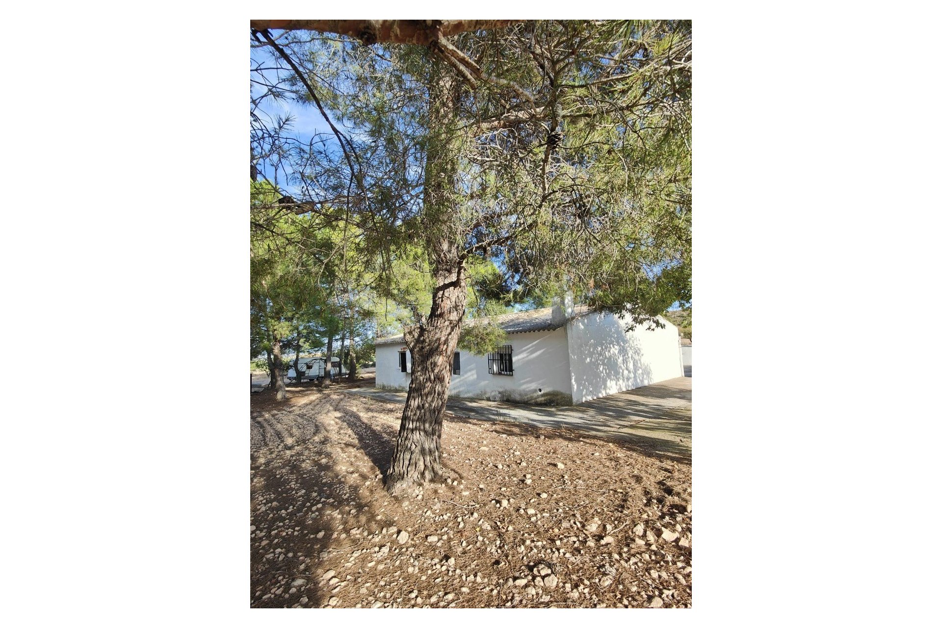 Reventa - Country House -
Yecla - Inland