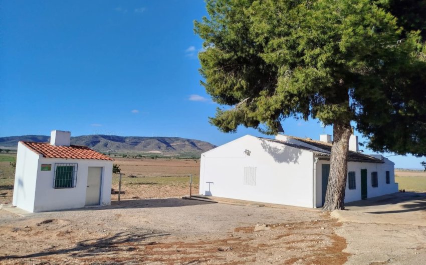 Reventa - Country House -
Yecla - Inland