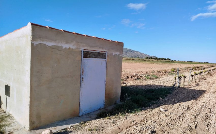 Reventa - Country House -
Yecla - Inland