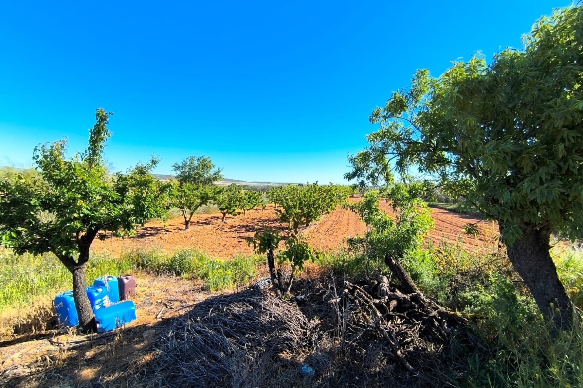 Reventa - Country House -
Yecla - Inland