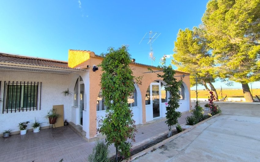 Reventa - Country House -
Yecla - Inland