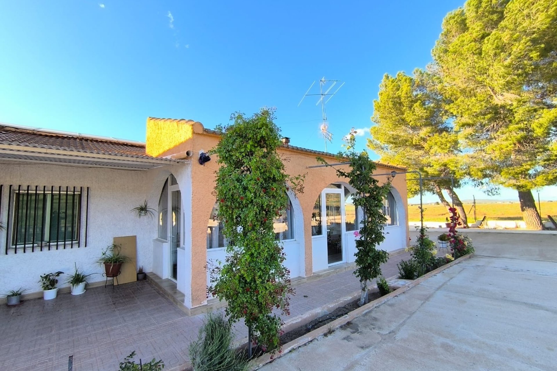 Reventa - Country House -
Yecla - Inland