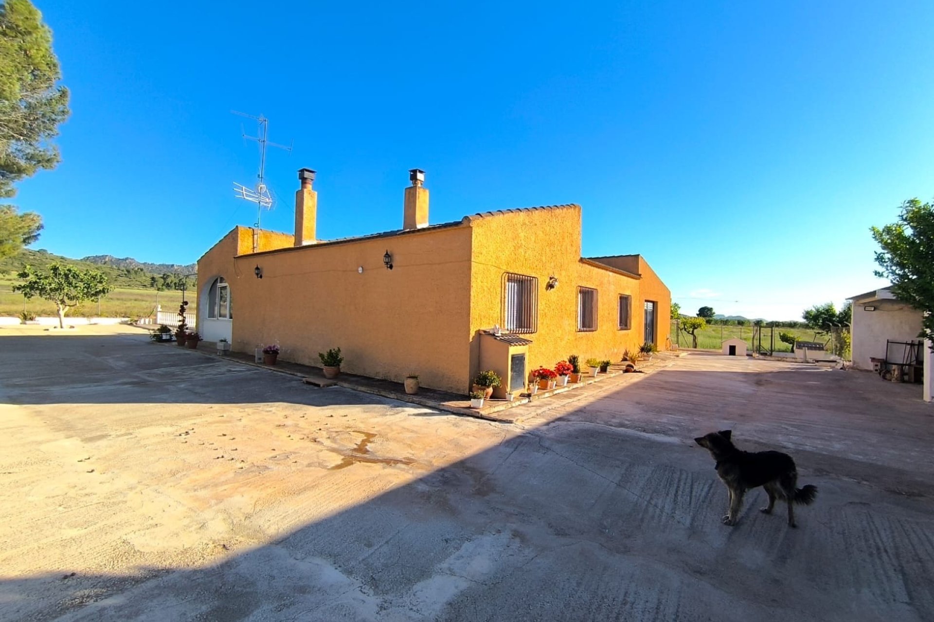 Reventa - Country House -
Yecla - Inland