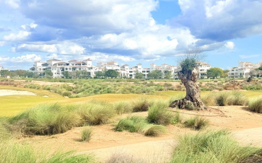 Reventa - Duplex -
Hacienda Riquelme Golf Resort - Inland