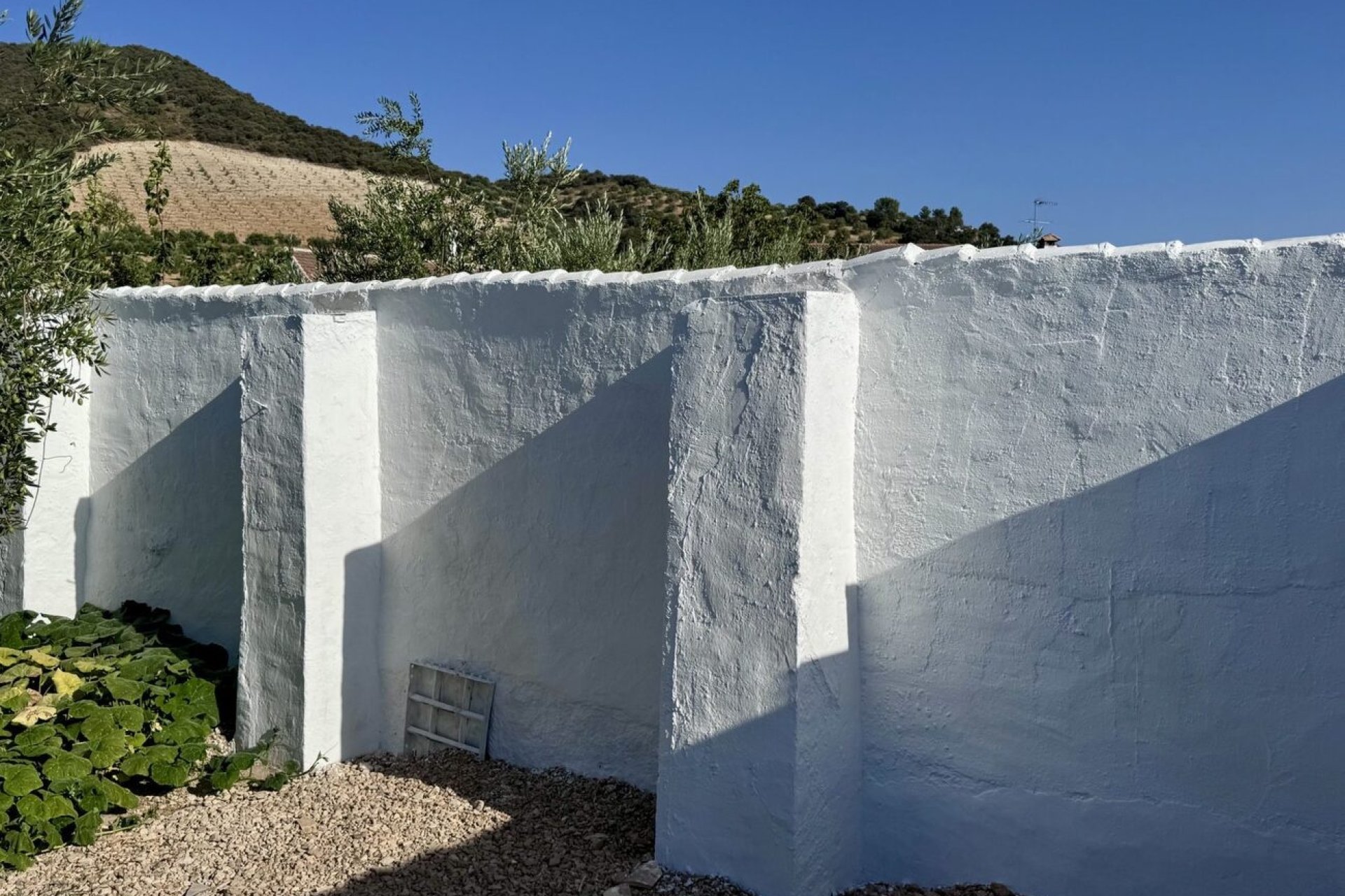 Reventa - Finca -
Algarinejo - Inland