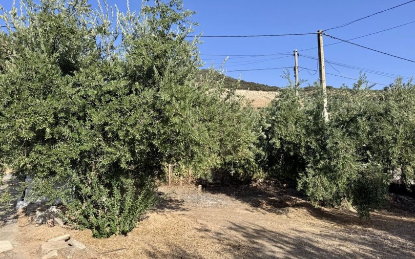 Reventa - Finca -
Algarinejo - Inland
