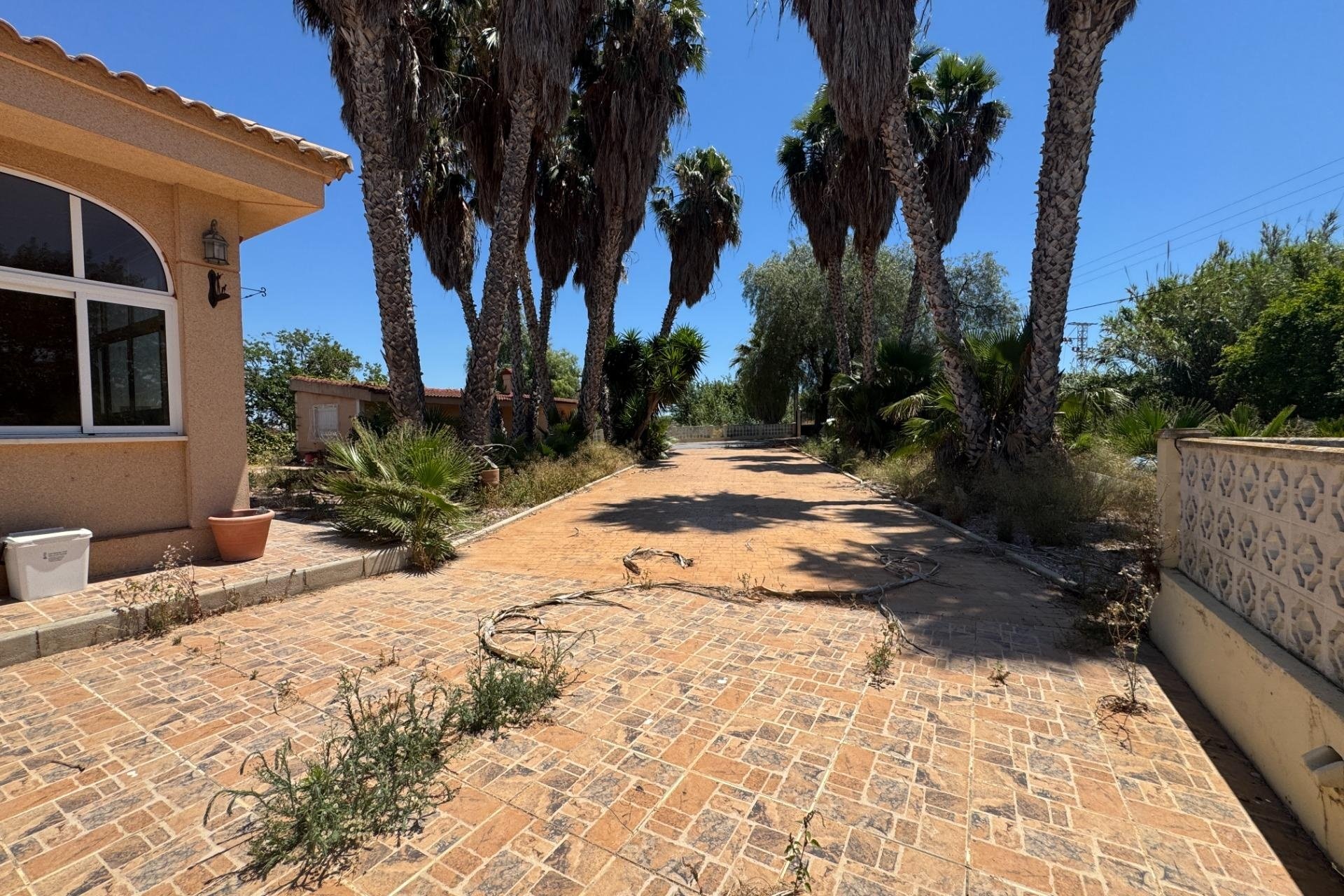 Reventa - Finca -
Dolores - Comunidad Valenciana