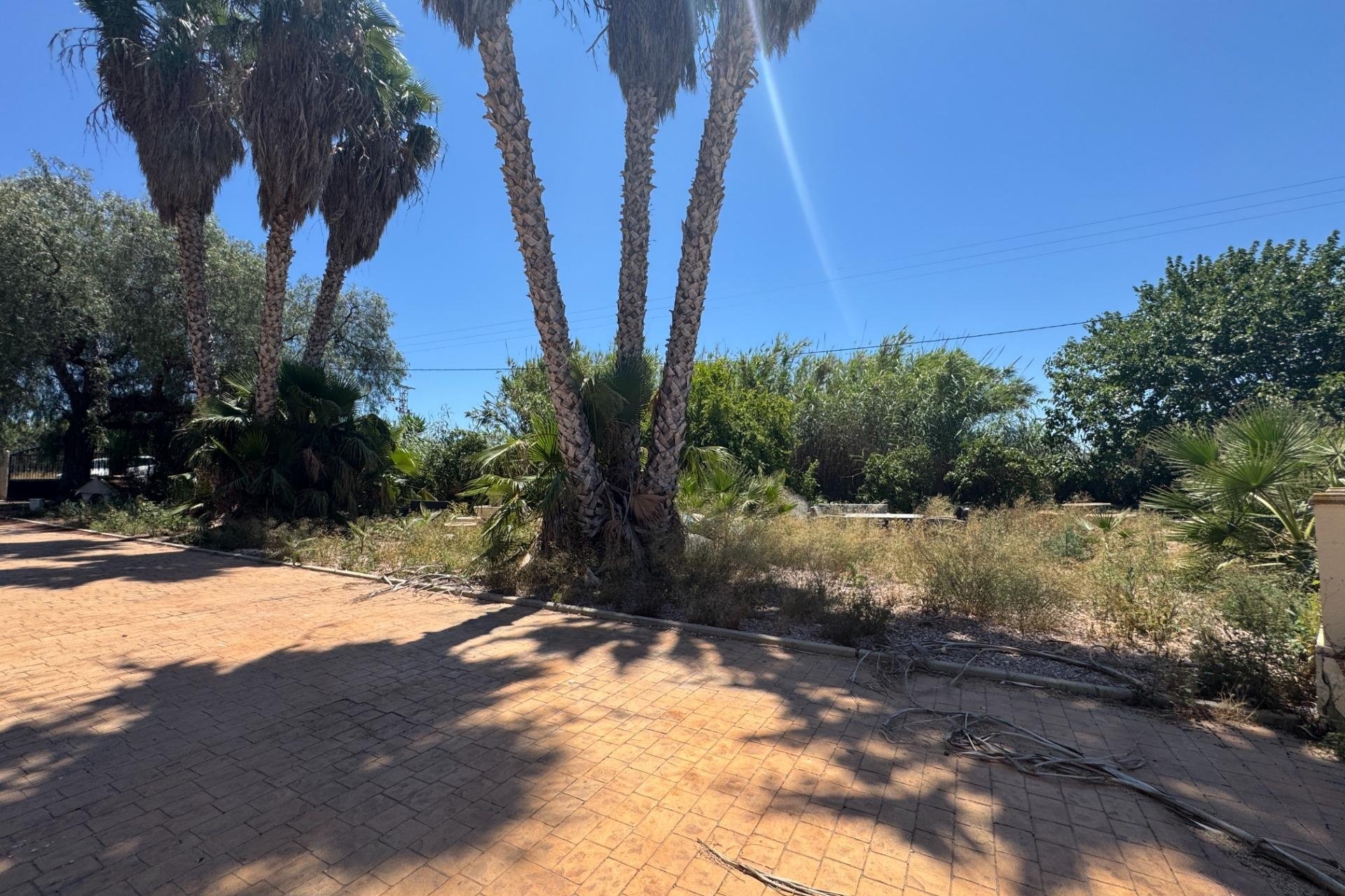 Reventa - Finca -
Dolores - Comunidad Valenciana