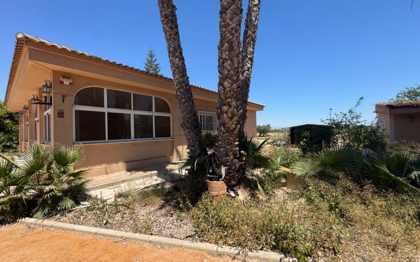 Reventa - Finca -
Dolores - Comunidad Valenciana