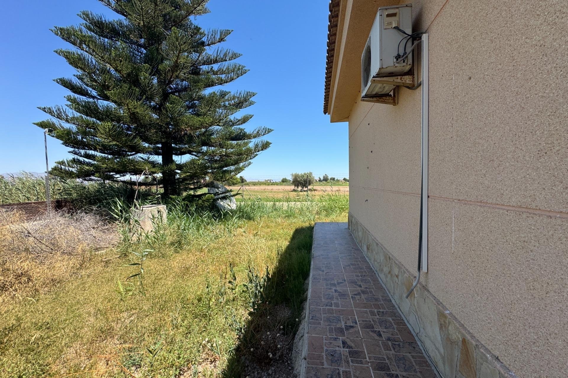 Reventa - Finca -
Dolores - Comunidad Valenciana
