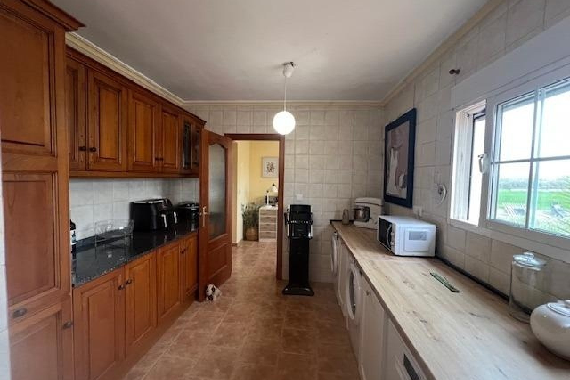 Reventa - Finca -
Dolores - Comunidad Valenciana