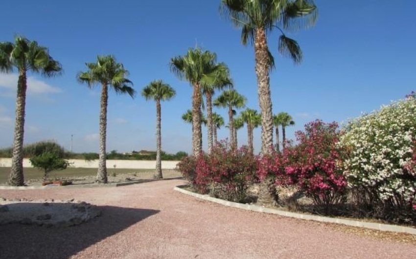 Reventa - Finca -
Dolores - Comunidad Valenciana