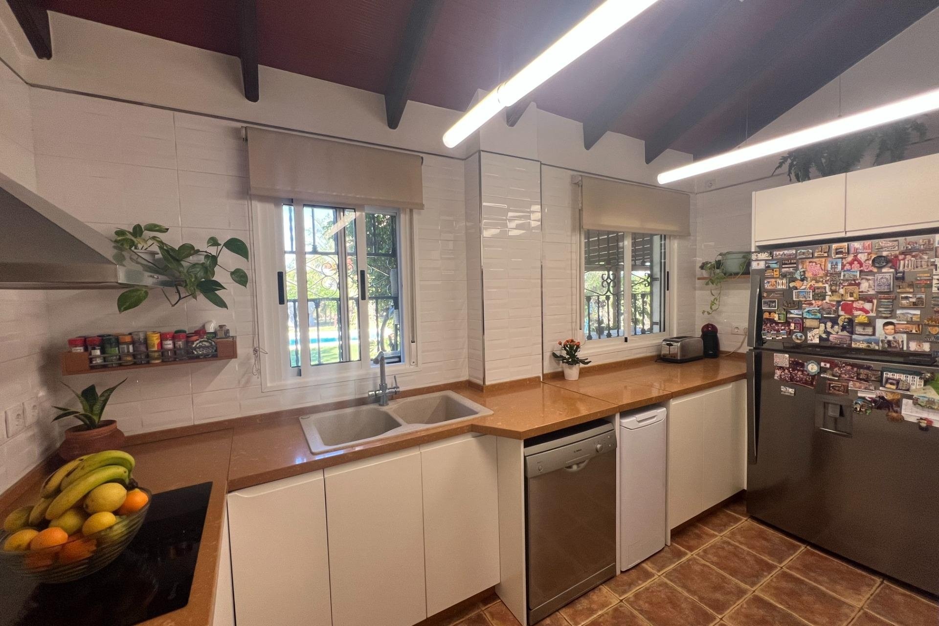 Reventa - Finca -
Dolores - Comunidad Valenciana