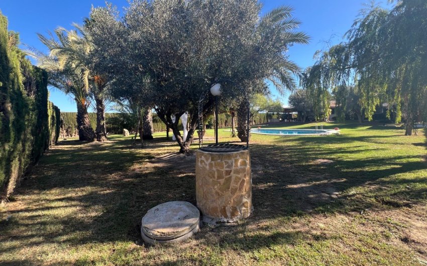 Reventa - Finca -
Dolores - Comunidad Valenciana